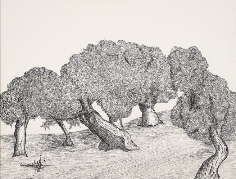 Olive Tree