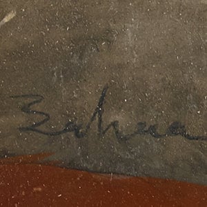 BAHAA AMER