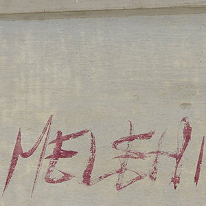 MOHAMED MELEHI